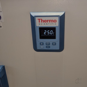 gebrauchter Wärmeschrank bis 250°C Thermo Scientific HeraTherm OMS180