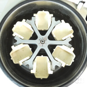 gebrauchte Zentrifuge Eppendorf 5416B mit Auschwingrotor 16A6-18