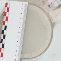 gebrauchter Rezeptur-Siebsatz 10 cm Kressner-Siebe Apothekensiebe