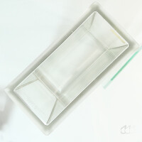 gebrauchte DESAGA DC-Kammer bis 20 x 20 cm, Glas, Entwicklungskammer