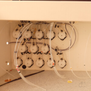 gebrauchter Blotter TECAN Profi Blot II N30 F059001