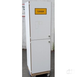 gebrauchter Säuren- und Laugenschrank Chemikalienschrank