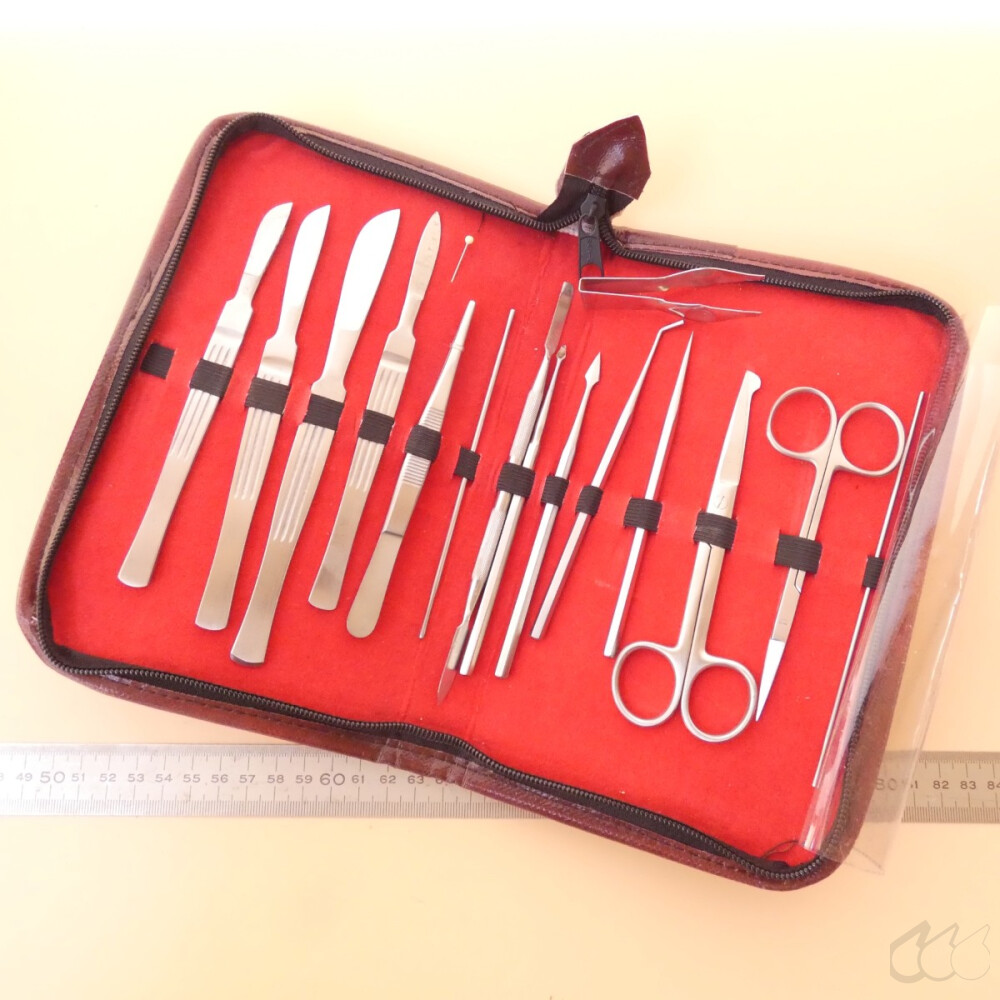 gebrauchtes anatomisches Besteck /...