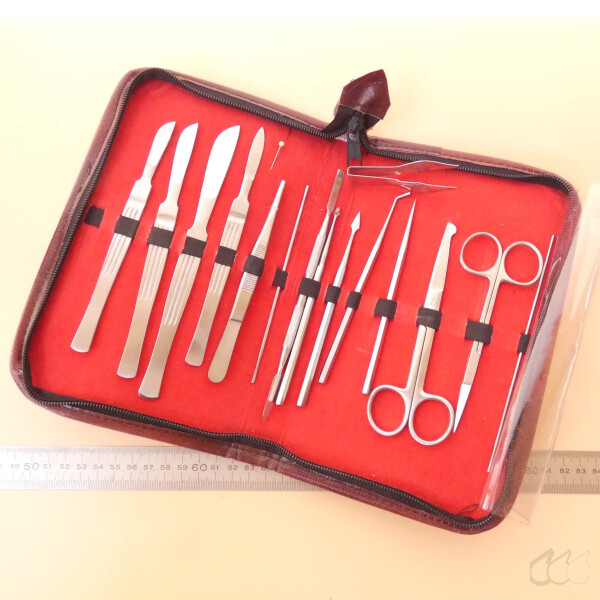 gebrauchtes anatomisches Besteck / Präparierbesteck-Set im Etui (15-teilig ,Tasche)